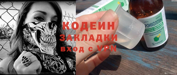 сатива Балахна