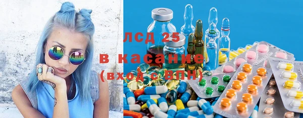 сатива Балахна
